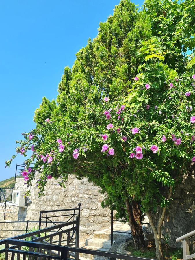 Villa Nera بودفا المظهر الخارجي الصورة